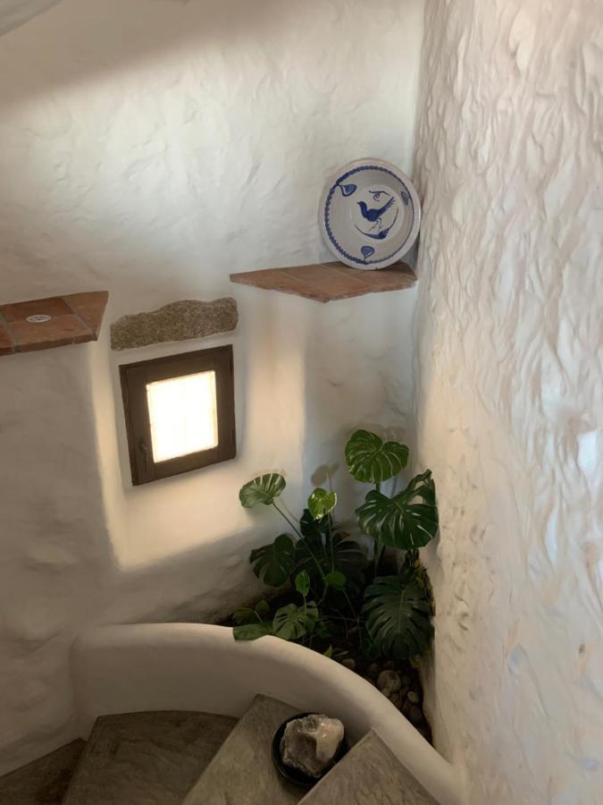 Lanzaroco, Tu Casa En La Vera Valverde de la Vera ภายนอก รูปภาพ