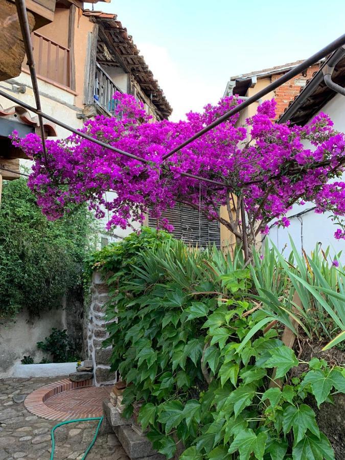 Lanzaroco, Tu Casa En La Vera Valverde de la Vera ภายนอก รูปภาพ